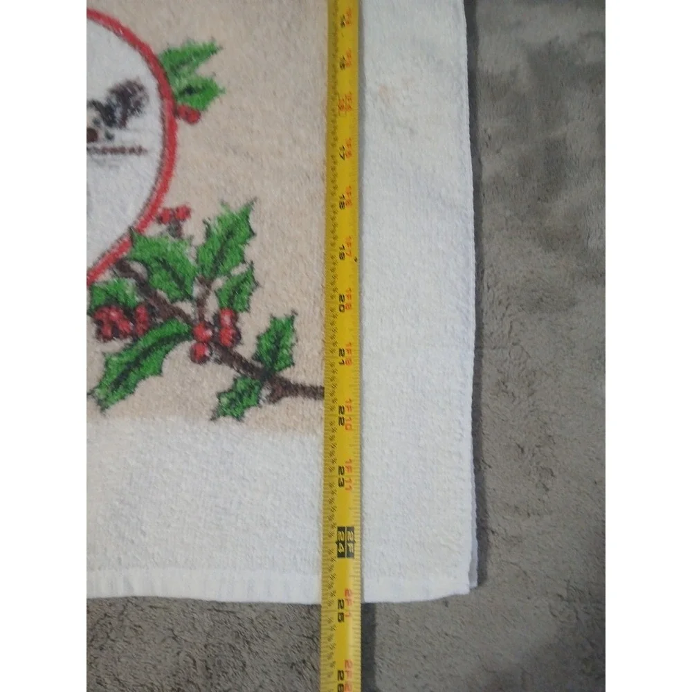 2 Christmas Kitchen‎ Towels Terrycloth Dish Hand Country Farm Mail Box READ